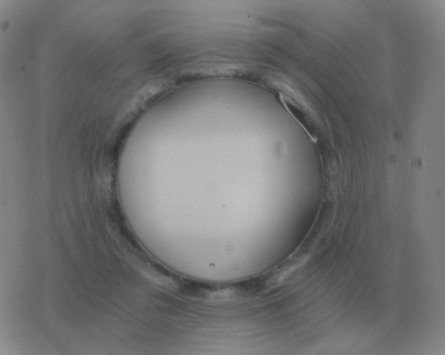 X0000076390309200610202111