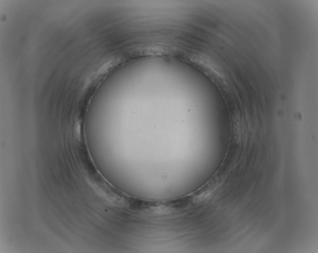 X0000076390310200610202111