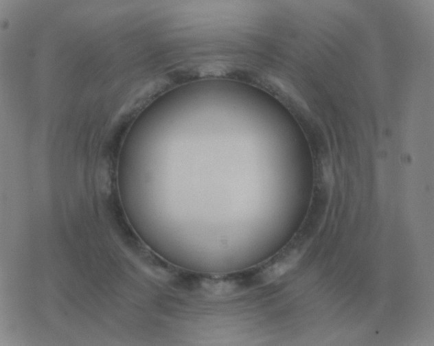 X0000076390311200610202111