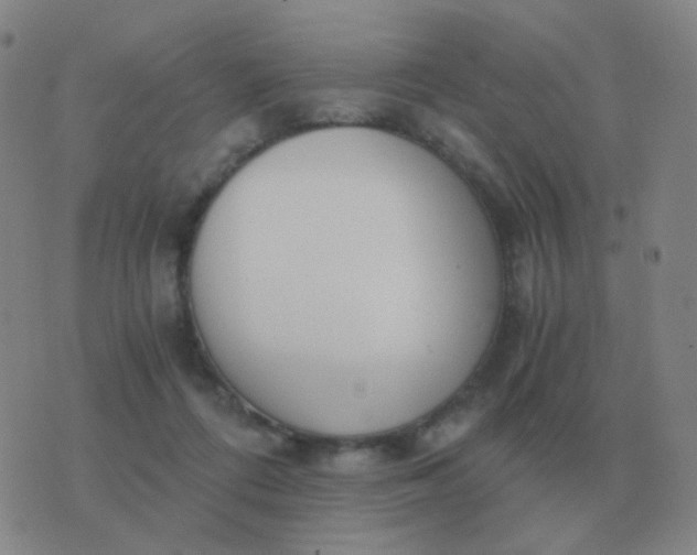 X0000076390312200610202111