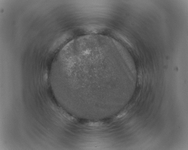 X0000076390314200610202111