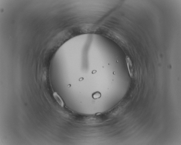 X0000076390315200610202111