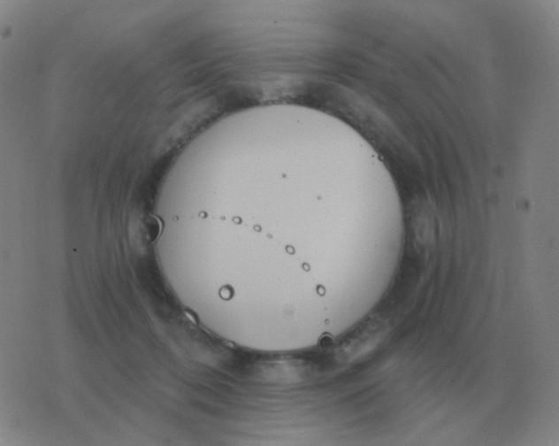 X0000076390316200610202111