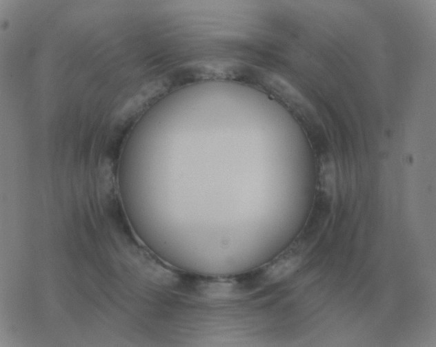 X0000076390318200610202111