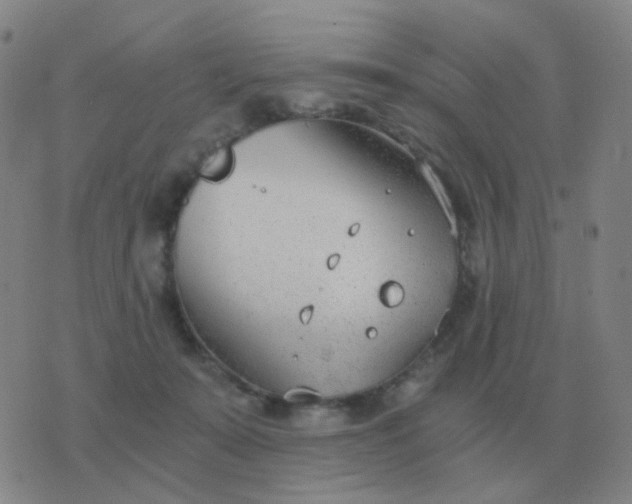 X0000076390319200610202111