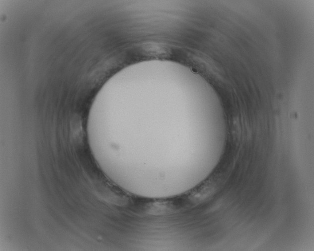 X0000076390320200610202111