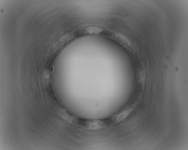 X0000076390321200610202111