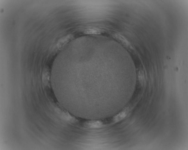 X0000076390322200610202111