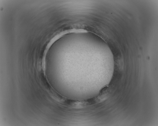 X0000076390323200610202111