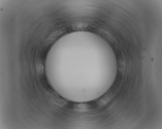 X0000076390324200610202111