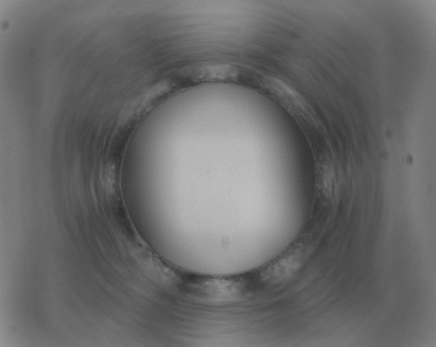 X0000076390326200610202111