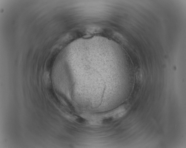 X0000076390327200610202110