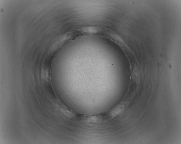 X0000076390330200610202110