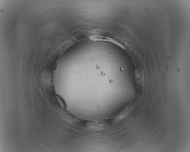 X0000076390331200610202110