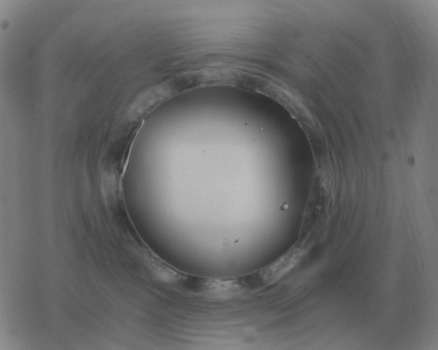 X0000076390333200610202110