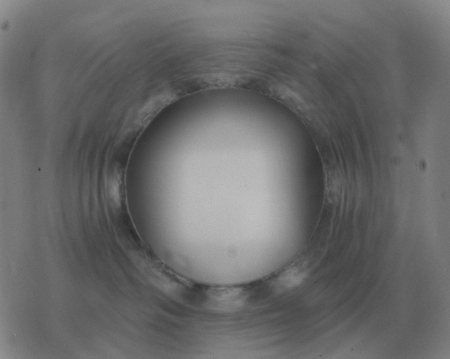 X0000076390334200610202110