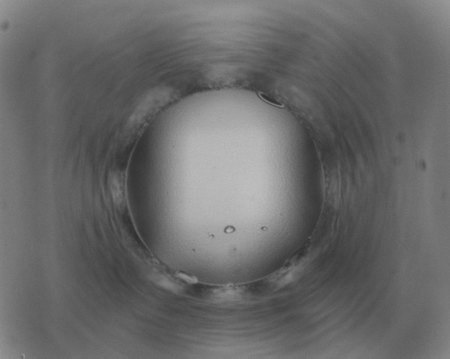 X0000076390335200610202110