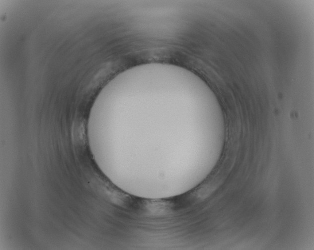 X0000076390336200610202110