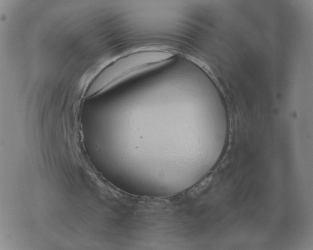 X0000076390337200610202110