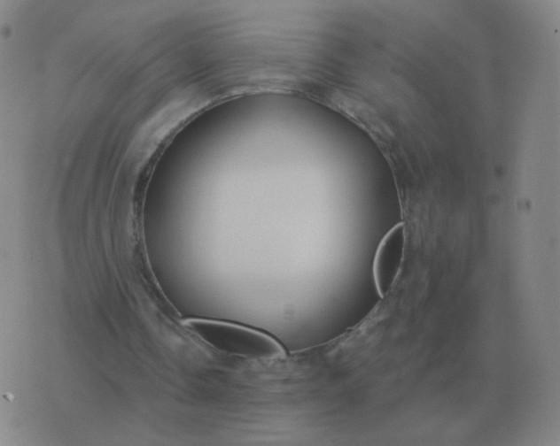 X0000076390338200610202110