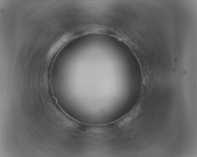 X0000076390341200610202110