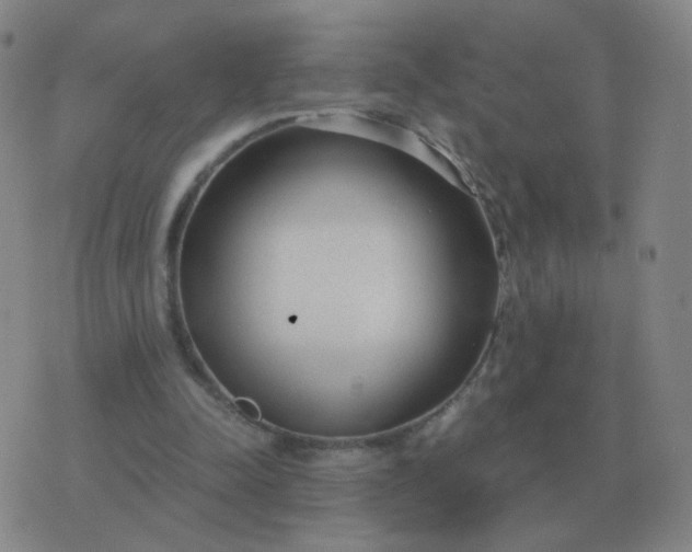 X0000076390342200610202110