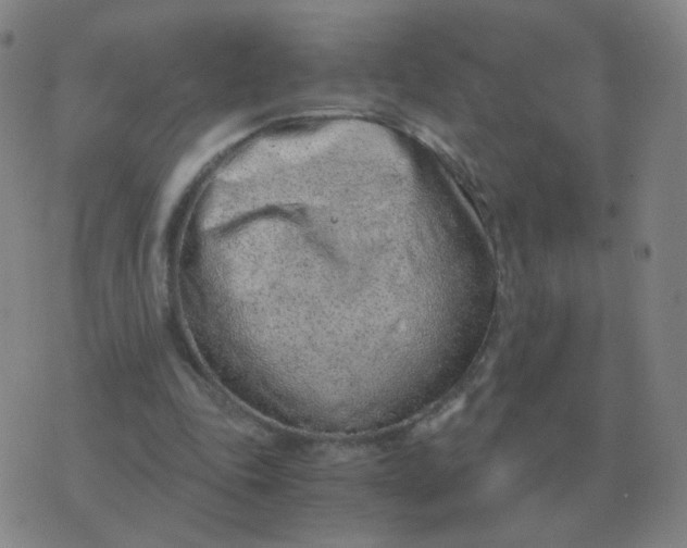 X0000076390343200610202110