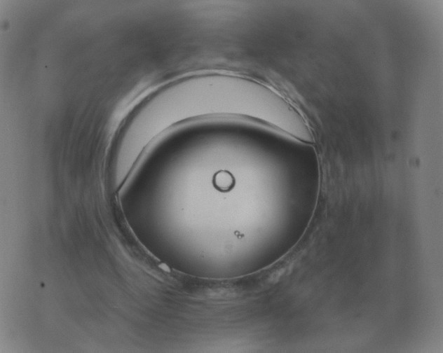 X0000076390344200610202110