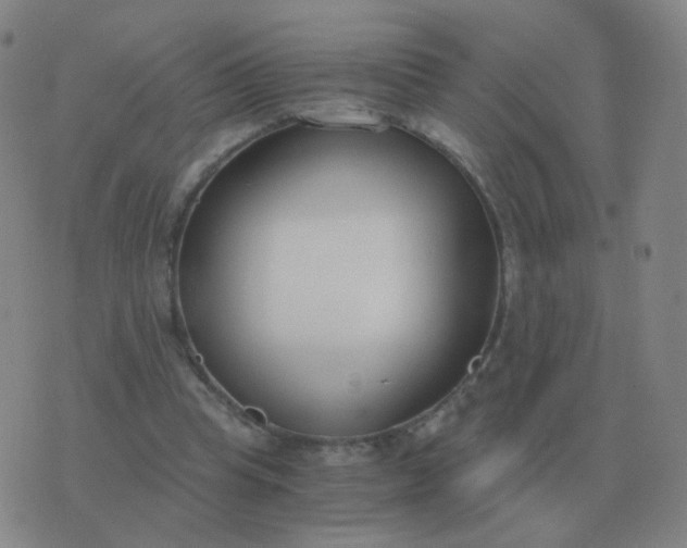 X0000076390345200610202110