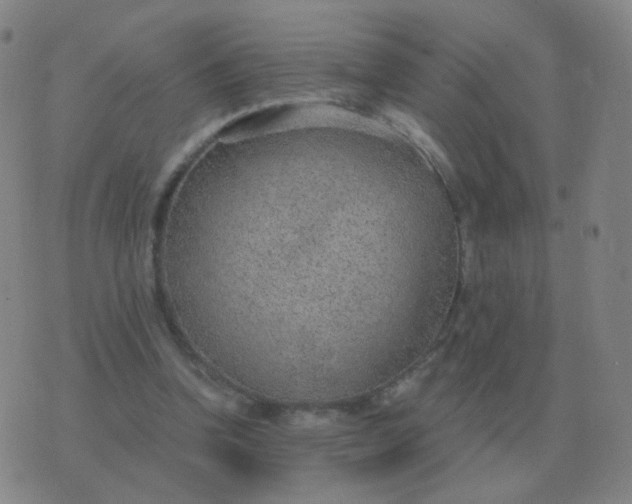 X0000076390346200610202110