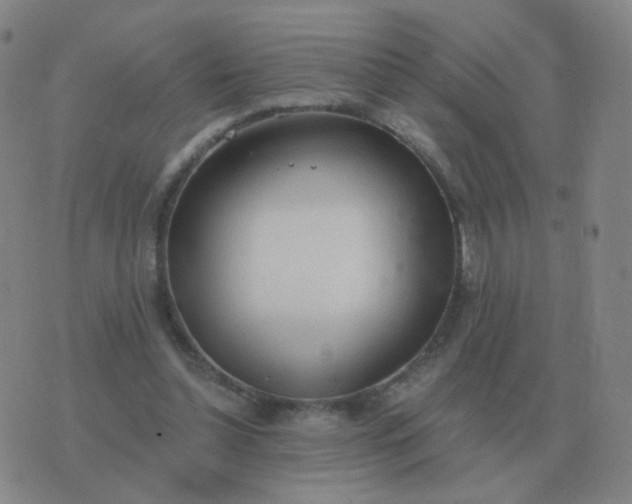 X0000076390348200610202110