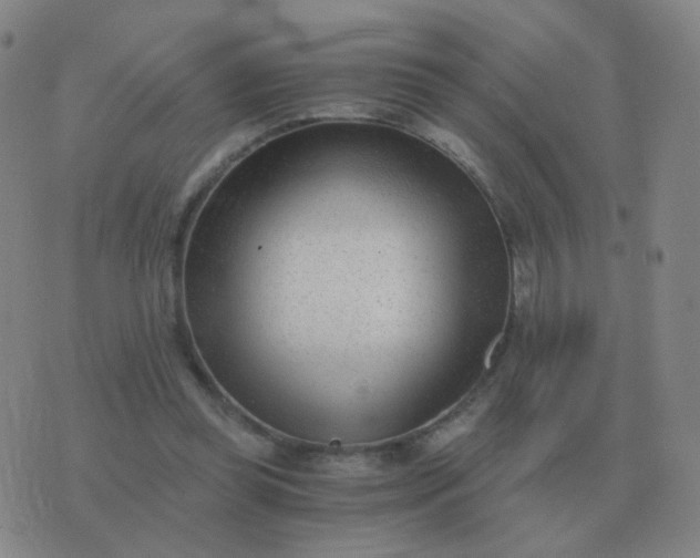 X0000076390349200610202110