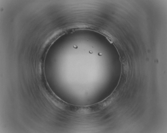 X0000076390350200610202110