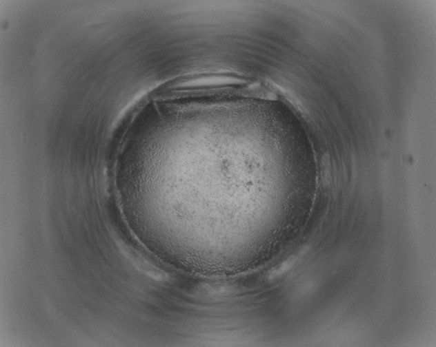 X0000076390351200610202110