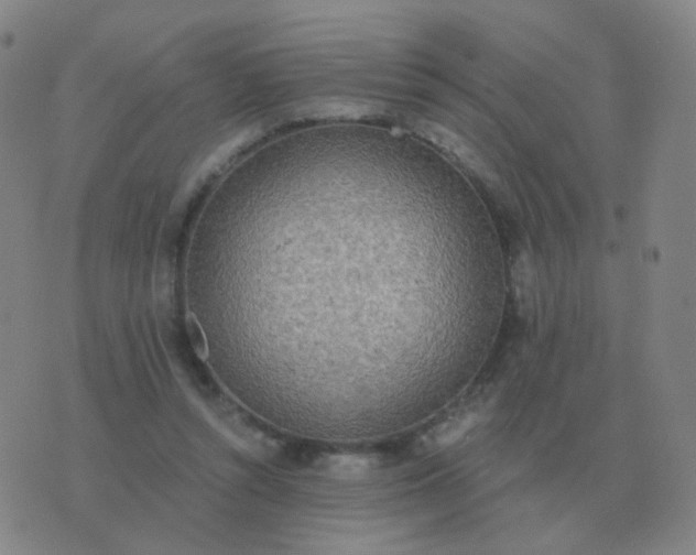 X0000076390352200610202110