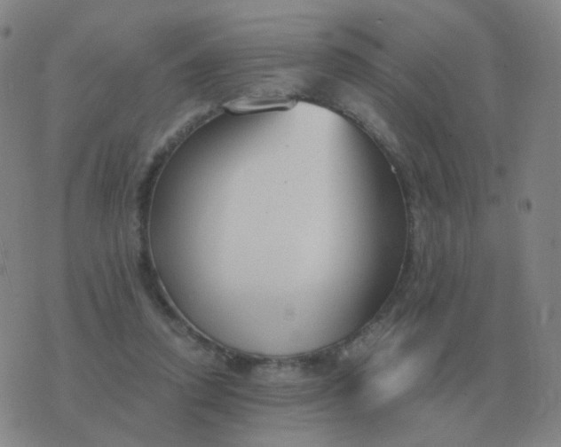 X0000076390354200610202110