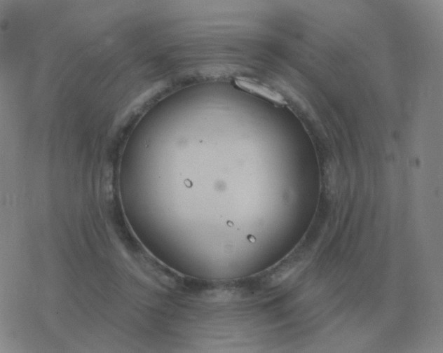 X0000076390356200610202110