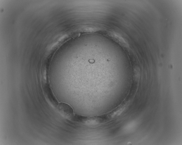 X0000076390358200610202110