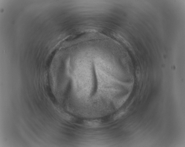 X0000076390359200610202110