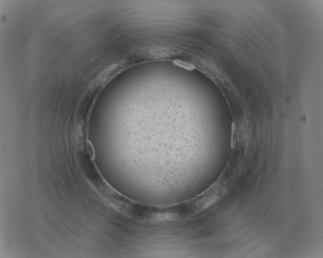 X0000076390360200610202110