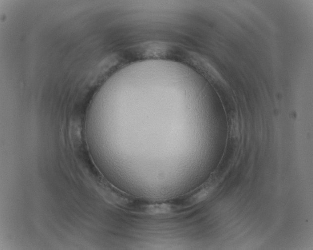 X0000076390363200610202110