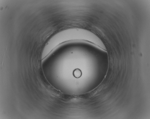 X0000076390364200610202110