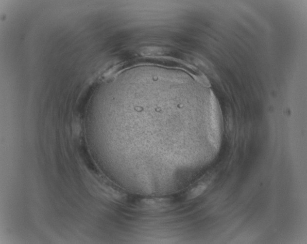 X0000076390367200610202110