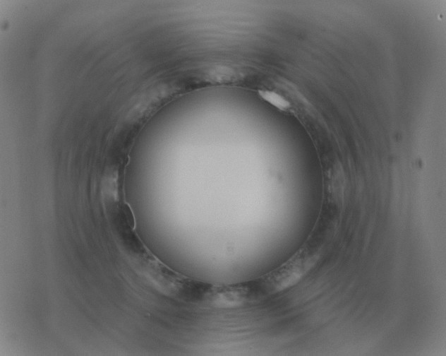 X0000076390368200610202110