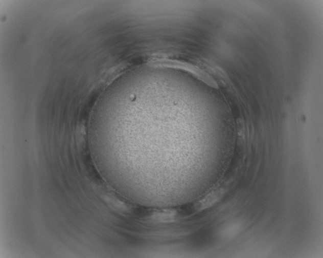 X0000076390369200610202110