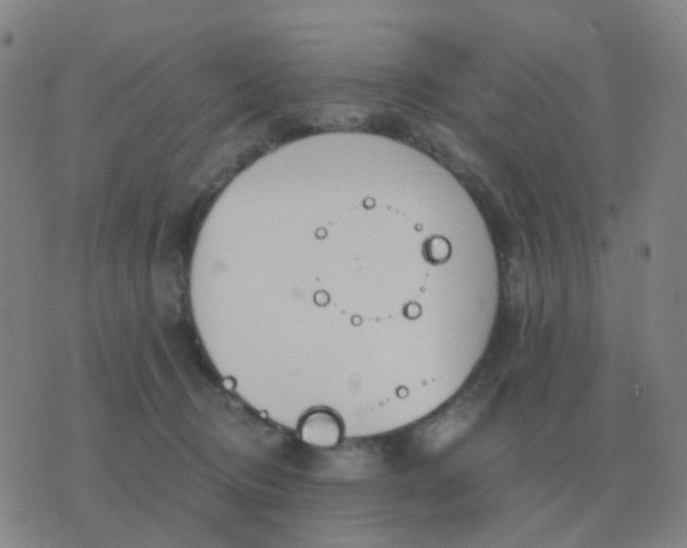 X0000076390370200610202110