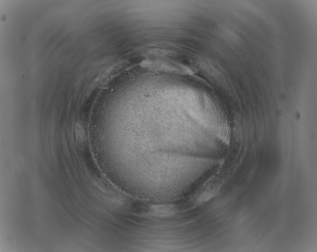 X0000076390371200610202110