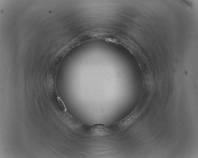 X0000076390372200610202110