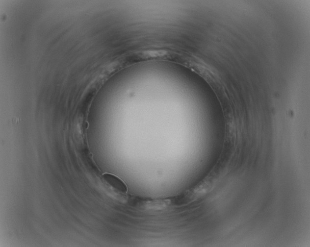 X0000076390373200610202110