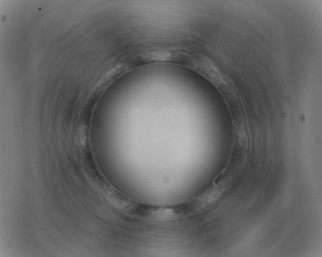 X0000076390374200610202110